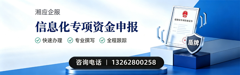 周口信息化专项资金申报服务