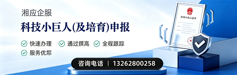 周口科技小巨人及培育企业申报服务