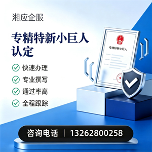 周口专精特新小巨人申报服务