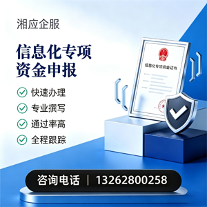 周口信息化专项资金申报服务