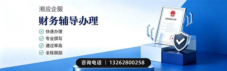 周口财务辅导申请服务