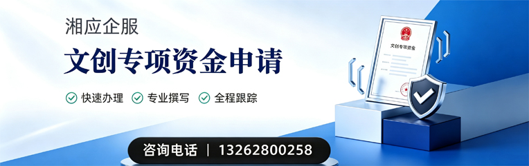 周口文创专项资金申报服务