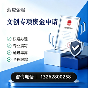 周口文创专项资金申报服务