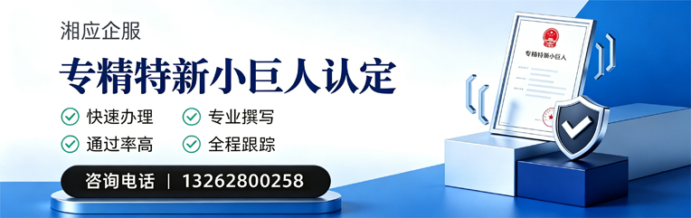 周口专精特新小巨人申报服务